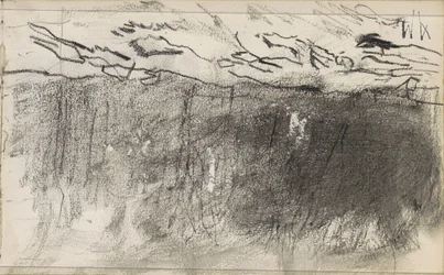 Field at the edge of a forest