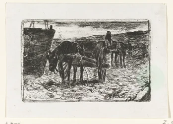 Carts on the Beach