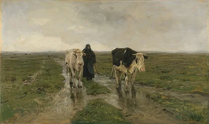 Pasture. Probably 1880s
