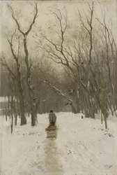 Winter in the Scheveningen Woods