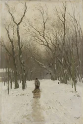 Winter in the Scheveningen Woods