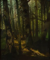 Forest Clearing