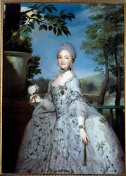 Portrait of Mary Louise of Parma, Princess of Asturias