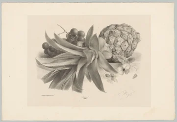 Pineapple and Grapes