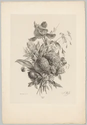 Carnations and Lilies (Flower and Fruit Studies, 10th installment)