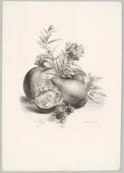 Flowers, Apples, Pear, Pomegranate, and Blackberries (Flower and Fruit Studies, 10th installment)