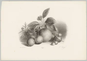 Flowers, Nectarines, and Hazelnuts