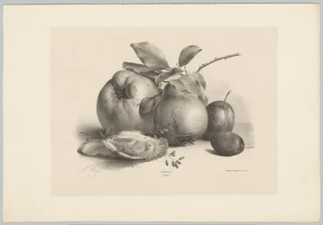 Fruit, Plums, and Oysters