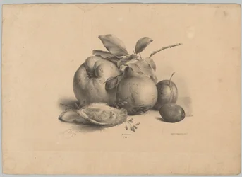 Fruit, Plums, and Oysters (Flower and Fruit Studies, 10th Issue)