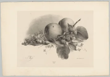 Peaches, Berries, Hazelnuts, and Blackberries