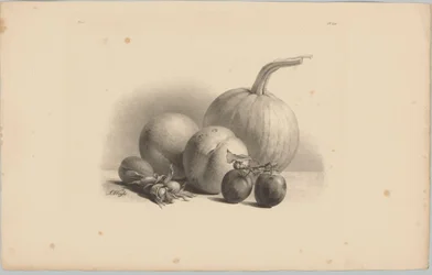 Pumpkin, Peaches, Apricot, Plums, and Hazelnuts (Flower and Fruit Studies, 3rd Issue)