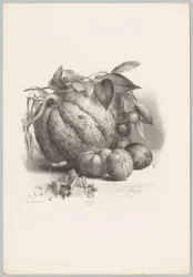 Pumpkin, Tomatoes, and Cherries (Flower and Fruit Studies, 10th Issue)