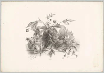 Roses, Dahlias, and Fuchsia