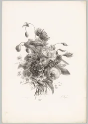 Roses and Other Flowers (Flower and Fruit Studies, 10th Issue)