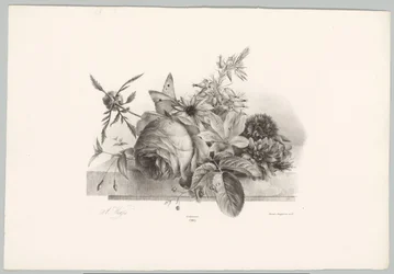 Roses, Lilies, Bell-shaped Flowers, and Butterfly (Flower and Fruit Studies, 10th Issue)
