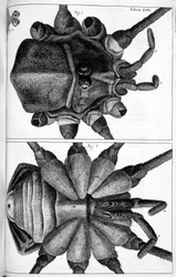 Microscopy