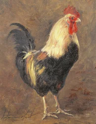 The Cockerel, 1999