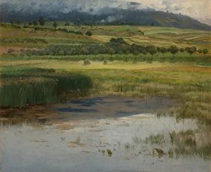 The Drowned Pond