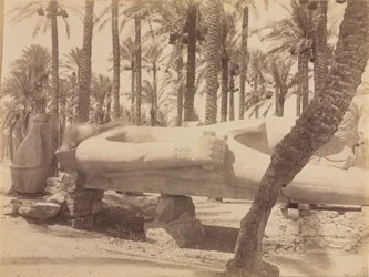 Statue of Ramesses at Saqqara, c. 1870s-1880s