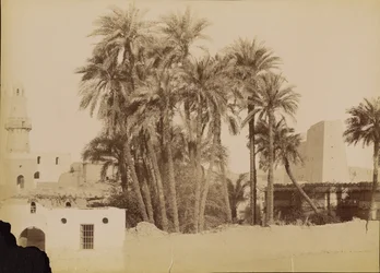 Village and Pylon of Edfu