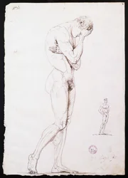 Standing Male Nude in Left Profile