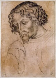 Bust of bearded man, three-quarters head leaning to the left. Drawing from the workshop of Antonio di Puccio Pisano dit Pisanello. Feather (drawing), blood. Louvre, drawing firm