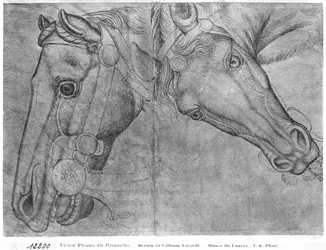 Heads of Horses, from the Vallardi Album