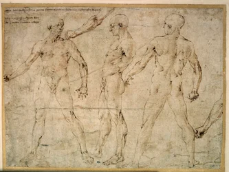 Three naked men. Drawing by Antonio Pollaiuolo (Pollaiolo) (1432-1498)