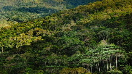 Mantiqueira LVIII, Brazil
