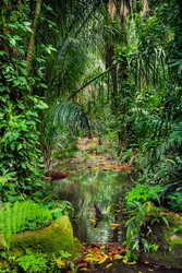 Wet Forest, 2023