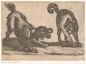 A Dog Fighting with a Cat (Fighting Animals)
