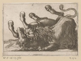 A Lion Biting the Neck of a Horse