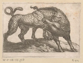 A Leopard Fighting with a Wild Boar Fighting Animals (series title)