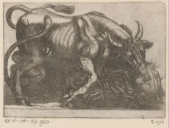 A Bull Fighting with a Lion