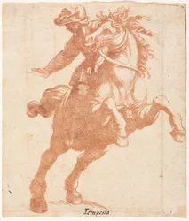 Rearing Horse and Rider