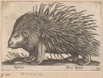 Porcupine