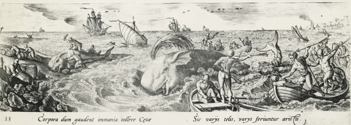 Whale hunting (engraving)