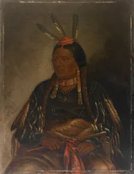 Che-tan-ce-ta Yellow Hawk