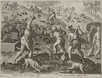 Badger Hunt