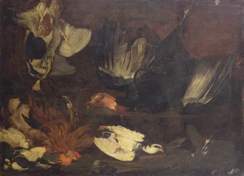 A Dead Turkey, Doves, a Cockerel and Other Birds on a Rocky Bank
