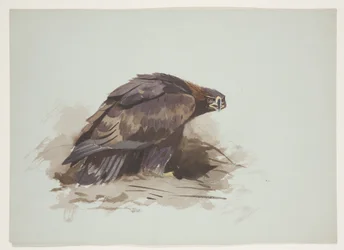 Golden Eagle, c.1915