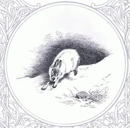 Mountain Hare, pub. by Book Club Associates
