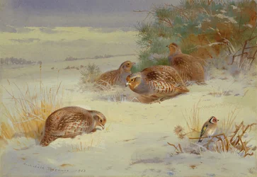 Partridge and a Goldfinch in a Winter Landscape