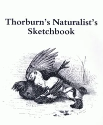 Title Page (Stoat and Gamebird), pub. by Book Club Associates