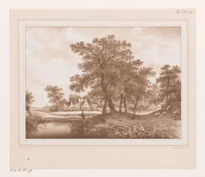 View of a Country Road and a Ditch