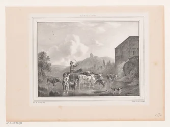 Herd Crossing a River