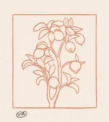 The Georgics: Lemon Tree