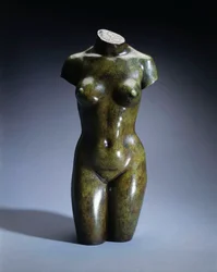 Torso of a Young Woman
