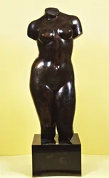 Venus; Torse de Venus