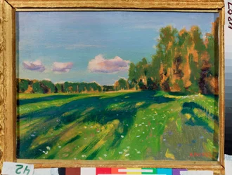 Summer Study